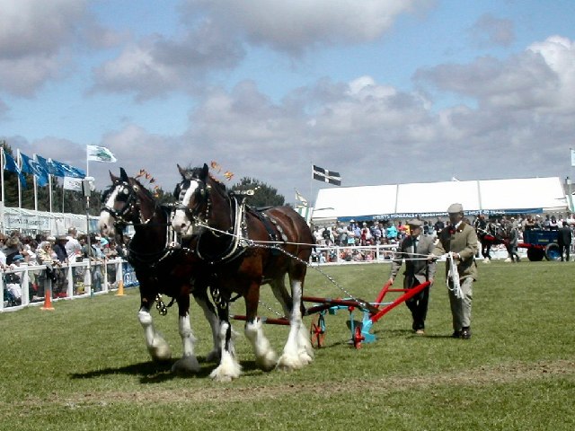 Royal Cornwall Show