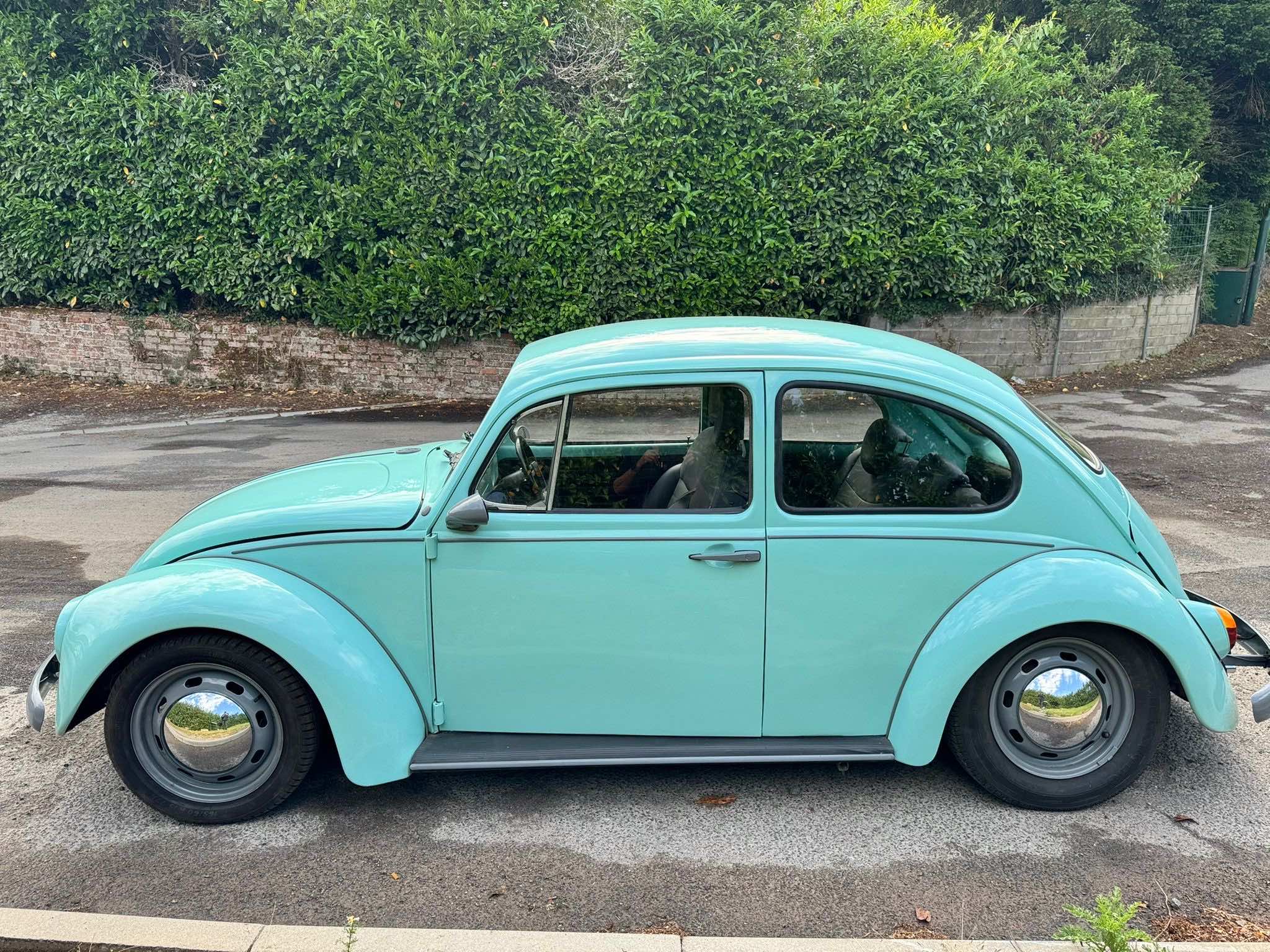Beetle