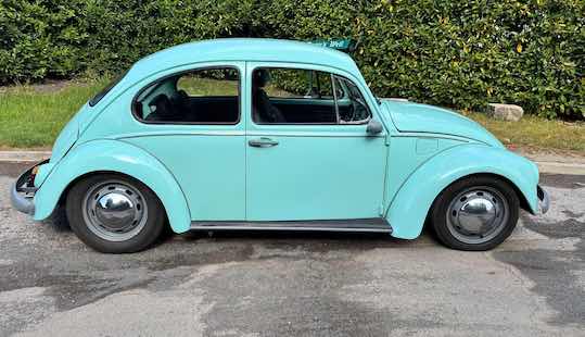 Beetle