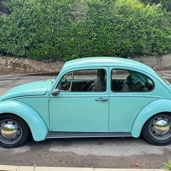 2 beetle