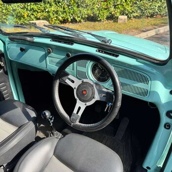 3 beetle