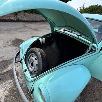 4 beetle
