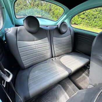 5 beetle