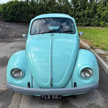 7 beetle
