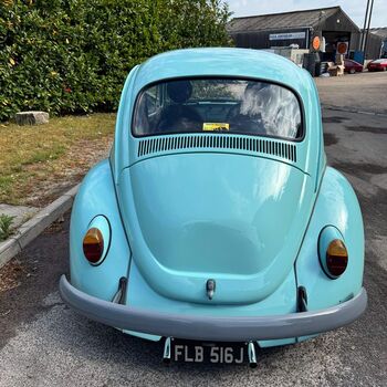 9 beetle